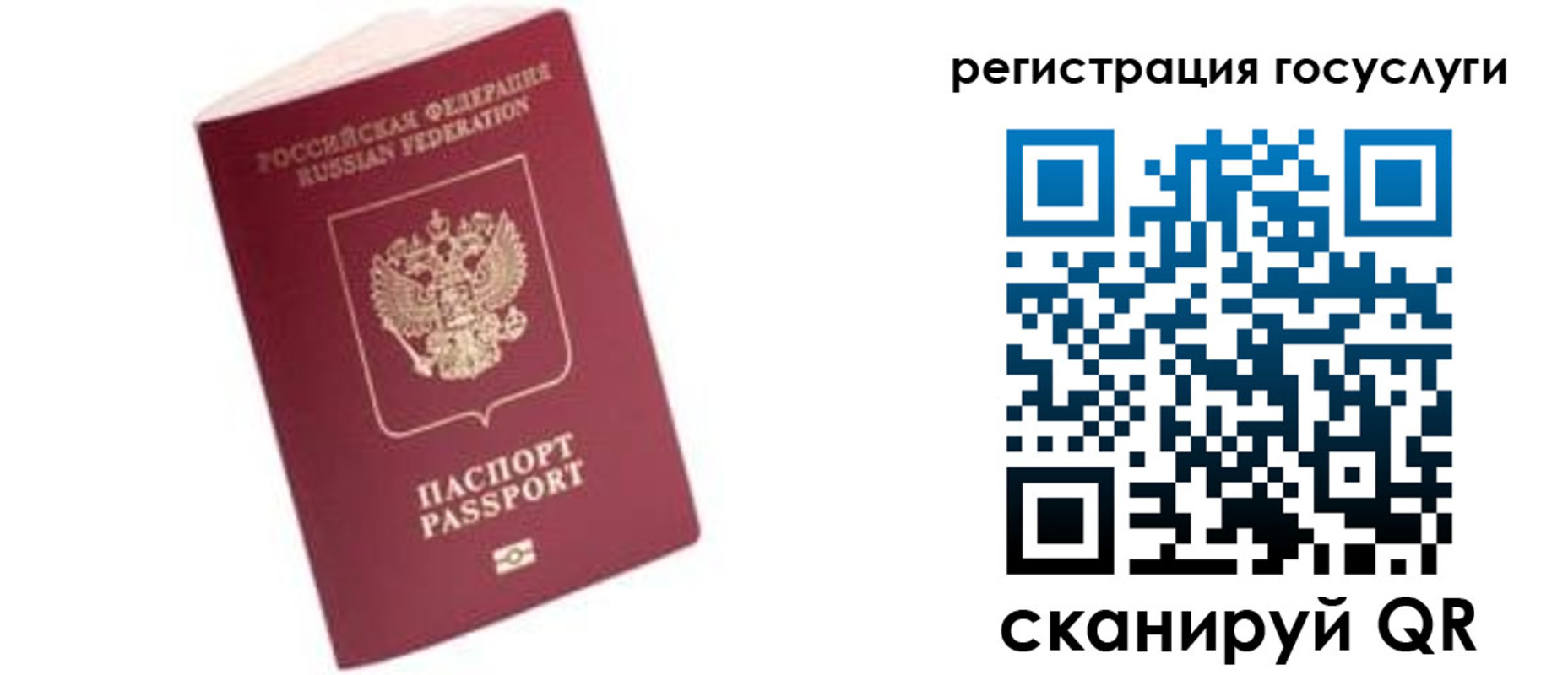прописка поиск в Тайге